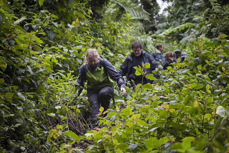 HikingTrailsinBwindiImpenetrableNationalPark
